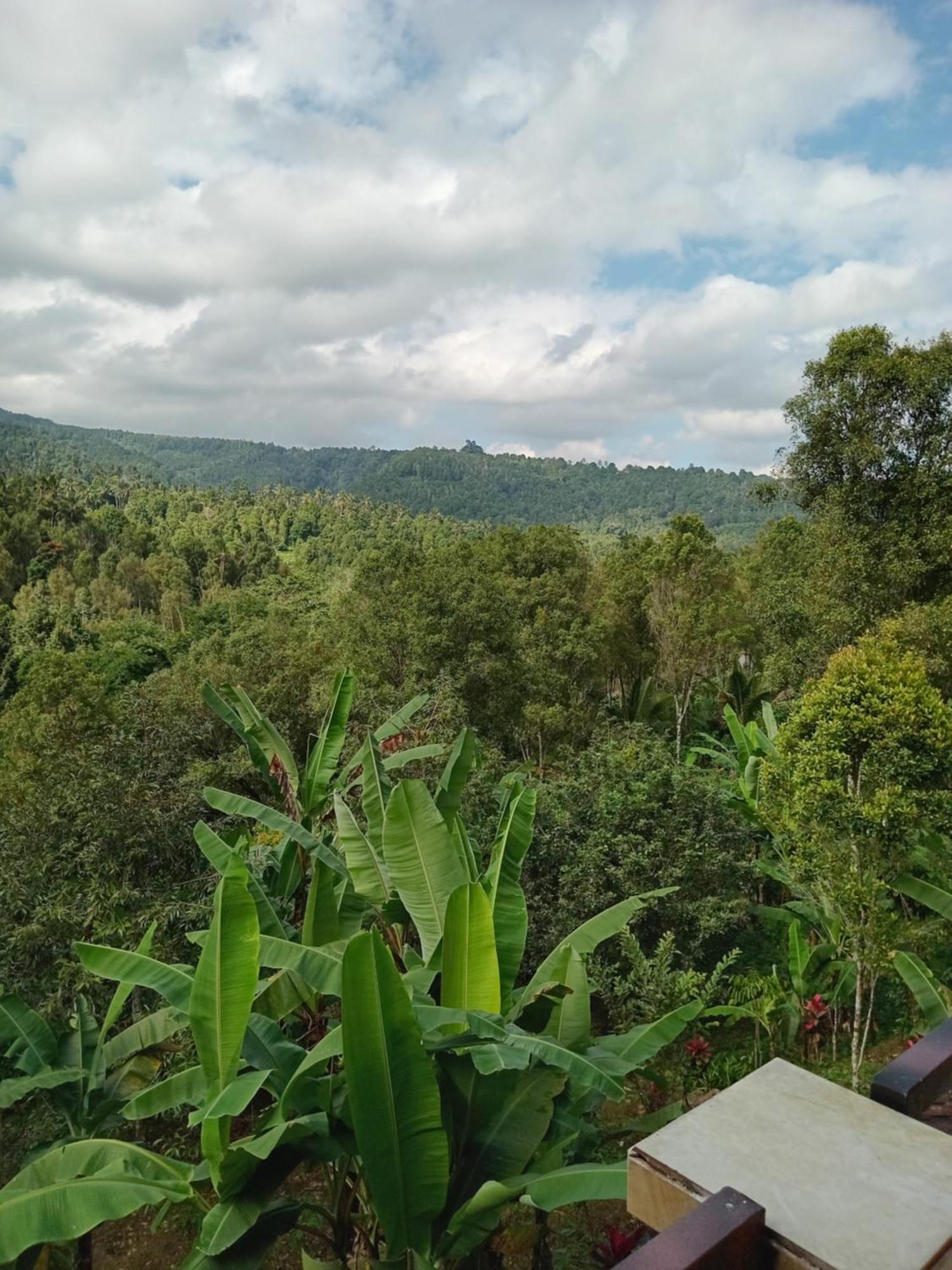Kanaya Homestay & Warung Heaven Munduk Esterno foto