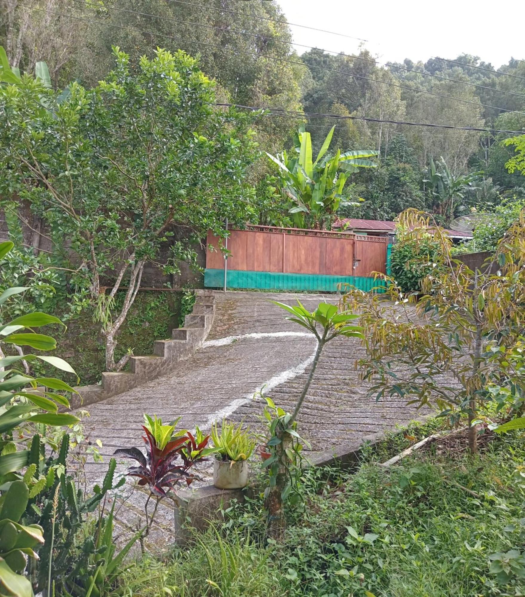 Kanaya Homestay & Warung Heaven Munduk Esterno foto